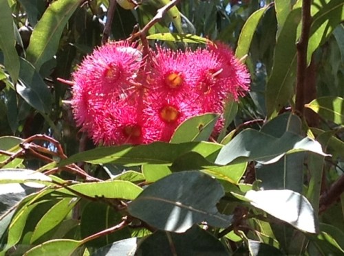 Post It Note Poetry Feb 19