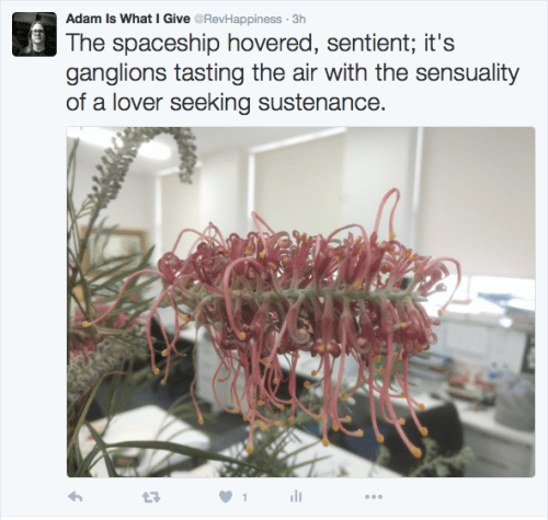 Screen Shot 2016-08-26 at 7.52.20 PM